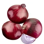 GTIN-0000000095501-01