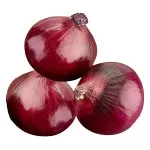 GTIN-0000000095501-02