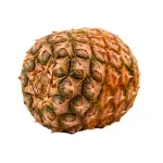 GTIN-0000000095716-02