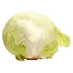 GTIN-0000000041065-01