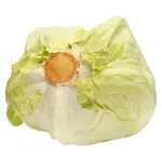 GTIN-0000000041065-02