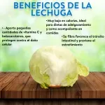 GTIN-0000000041065-03