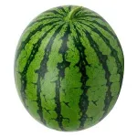 GTIN-0000000082341-02