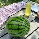 GTIN-0000000082341-03