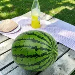 GTIN-0000000082341-04