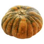 GTIN-0000000047890-02