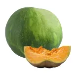 GTIN-0000000095433-01