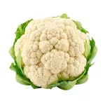 GTIN-0000000073486-02