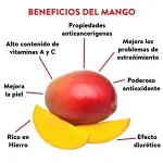 GTIN-0000000075497-03