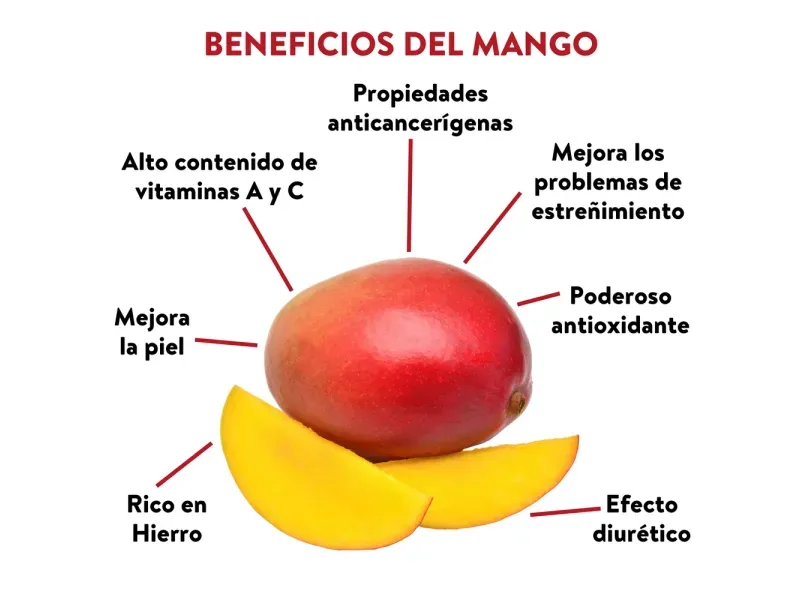 GTIN-0000000075497-03