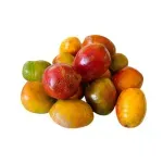 GTIN-7410062106054-02