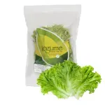 GTIN-7401153100105-01