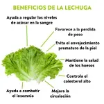 GTIN-7401153100105-04