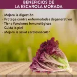 GTIN-7410062106603-03