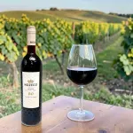 GTIN-3500610164989-04