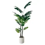 GTIN-6974221247558-01