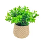 GTIN-6974221247886-03