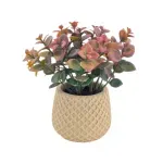 GTIN-6974221247886-04