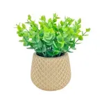 GTIN-6974221247886-05