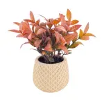 GTIN-6974221247886-06