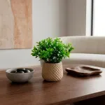 GTIN-6974221247886-07