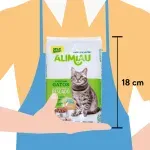 GTIN-0781974002015-03