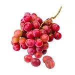 GTIN-0000000046350-01