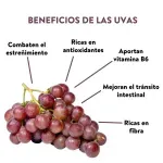 GTIN-0000000046350-03