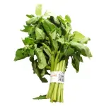 GTIN-7401103600235-02