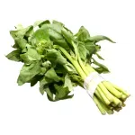 GTIN-7401103600235-04