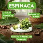 GTIN-7401103600235-05