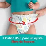 GTIN-0037000715436-02