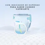GTIN-7809604031518-08