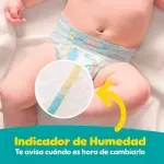 GTIN-0037000622994-08