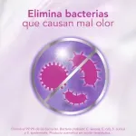 GTIN-7509546060620-04