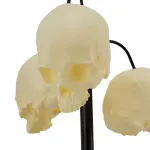 GTIN-0820290241620-04