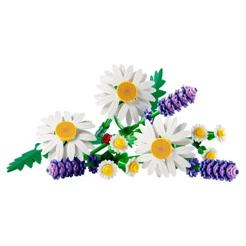 Coleccion Botanica Daisies