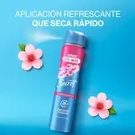 GTIN-7500435250719-07