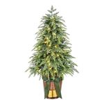 img_01