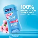 GTIN-7500435250726-02