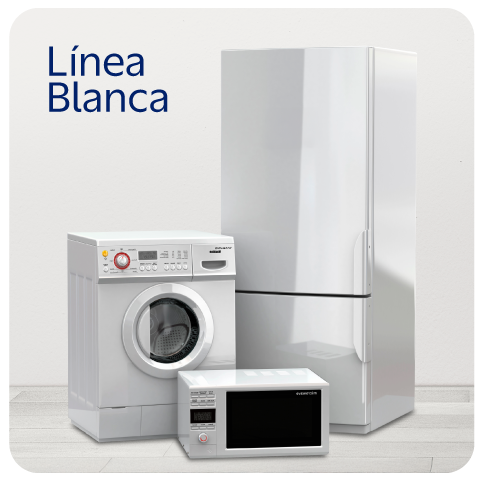 Linea Blanca